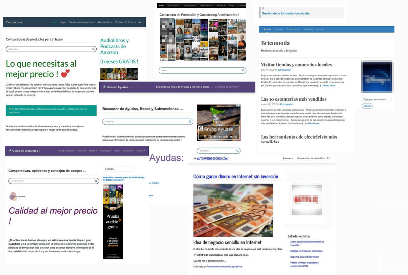 Portfolio Webs